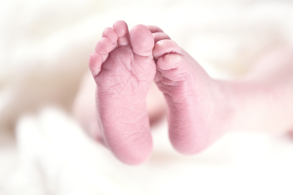 Rescatan a 19 jóvenes embarazadas de una “fábrica de bebés”: las vendían desde $600 mil