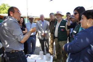 Chile busca nuevas herramientas contra “Lobesia botrana”