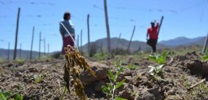 Déficit hídrico en Natales llega al 70 por ciento