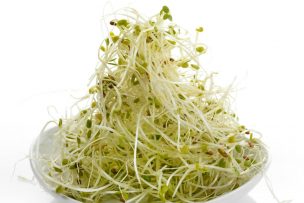 Producción de alfalfa para una eficiencia alimenticia en el ganado