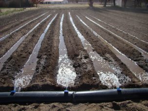 Junta de Vigilancia del Río Maule anunció recortes en caudales de riego