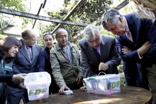 Ministro de Agricultura realiza la primera liberación experimental de polillas estériles de Lobesia botrana para el control urbano de esta plaga en el país