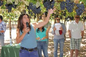 Tras compleja temporada, Uvanova guiará a los productores de uva de mesa en una reingeniería de huertos