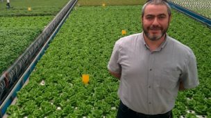 Con nueva tecnología agrícola, en Israel las azoteas se convierten en granjas