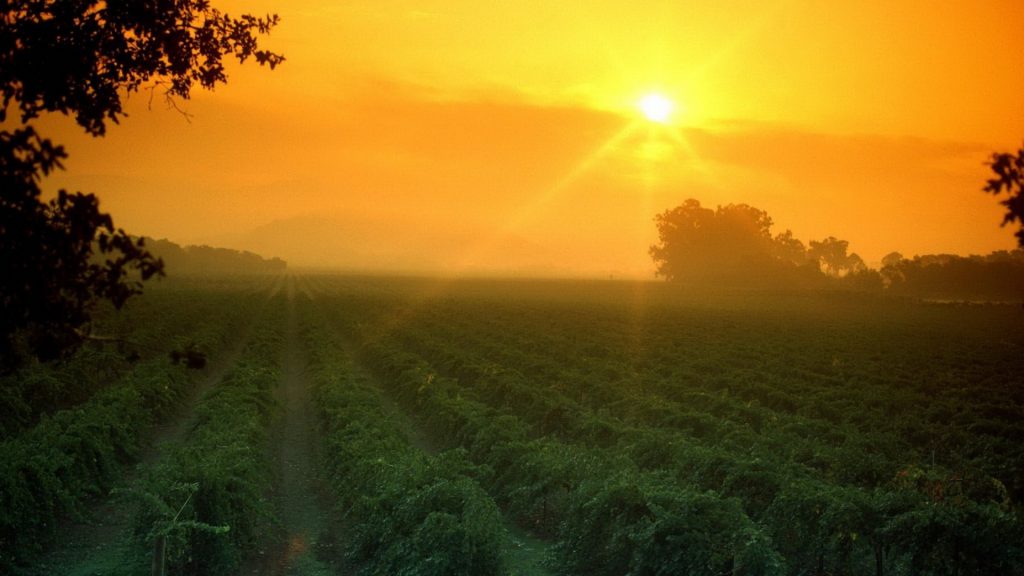 Perspectiva Agroclimática-22 al 28 de agosto 2016: “Altas temperaturas en la zona norte-central y precipitaciones en la zona sur”