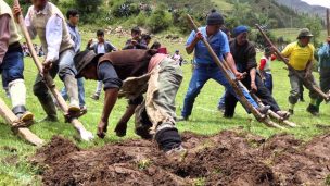 Agricultores de Ñuble celebraron el “Día de las Campesinas y Campesinos