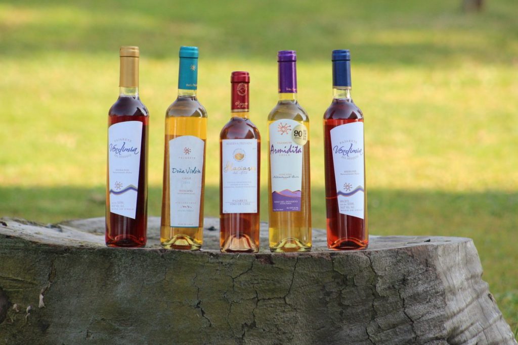 El renacer del tradicional vino chileno “Pajarete