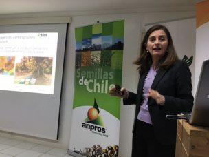 Por primera vez se reúnen la Asociación Nacional de Productores de Semillas y la Corporación Apícola de Chile