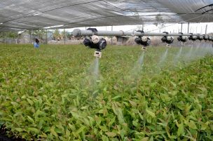 Agricultores de Osorno denuncian falta de regulación en el mercado de los fertilizantes