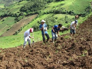 La visión de los jóvenes sobre el futuro de la agricultura en Los Lagos