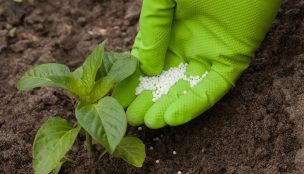 SAGO en alerta por calidad de fertilizantes fosfatados