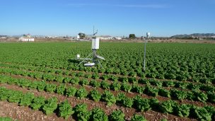 Expertos plantean fortalecer la Red Agroclimática Nacional