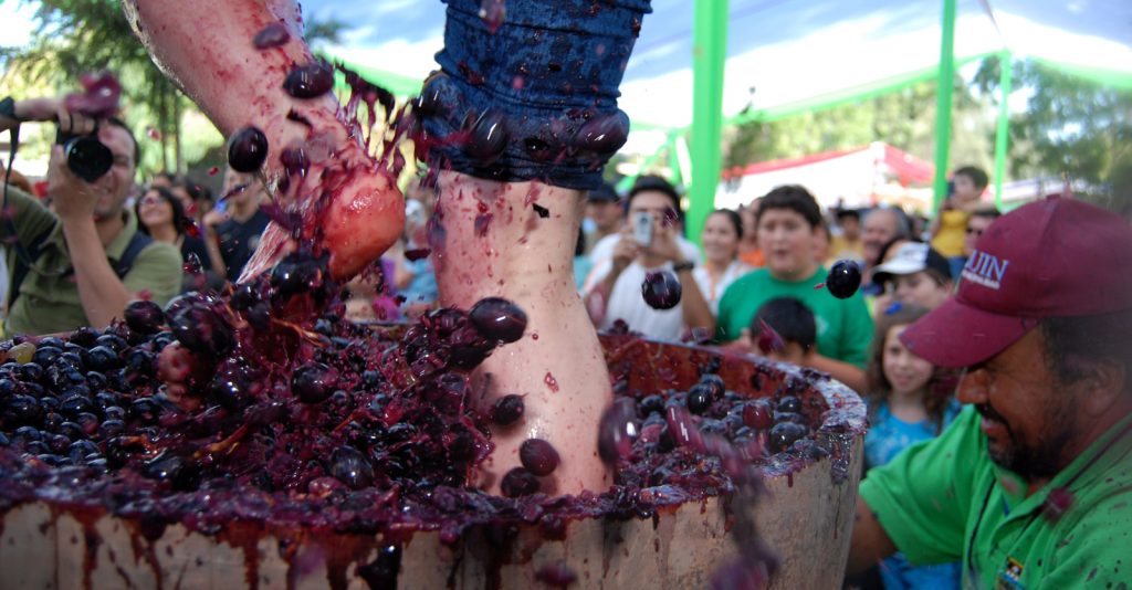 Pronostican retraso en la vendimia 2016 con vinos más frescos y ligeros