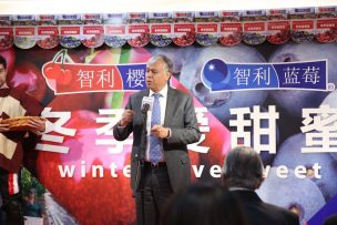 Furche apuesta por China: “Debemos concentrar los esfuerzos, allí están las mejores oportunidades”