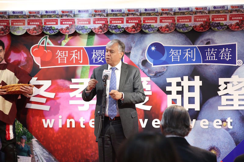 Furche apuesta por China: “Debemos concentrar los esfuerzos, allí están las mejores oportunidades”