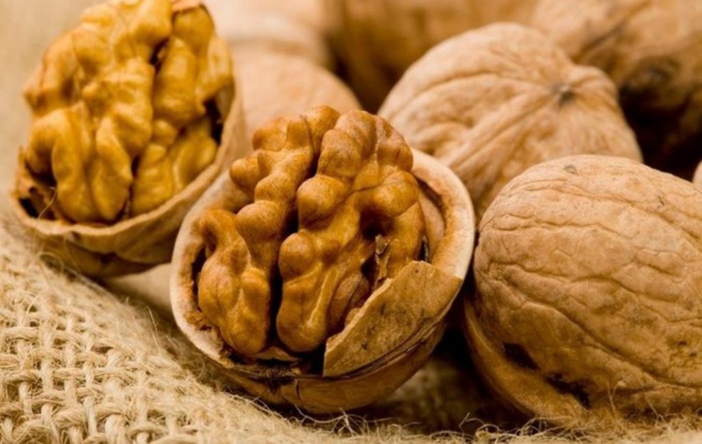 Chile y China firman oficialmente ingreso de nueces con cáscara chilenas al mercado chino