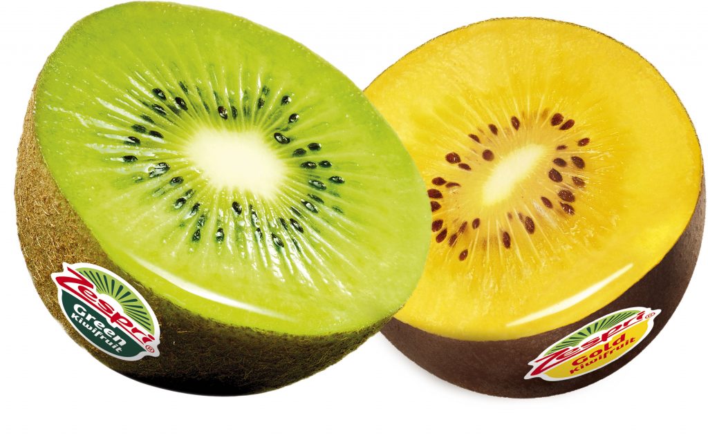 Dori, el kiwi amarillo que se plantará en Chile