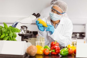 Crean primer centro de innovación alimentaria en Chile