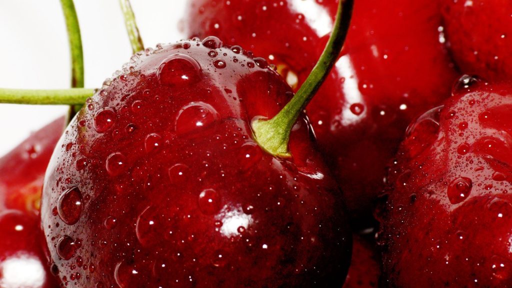 Prevén nuevo récord de exportaciones de cerezas frescas