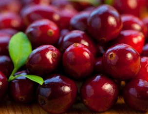 EE.UU. autoriza importación de cranberries frescos chilenos