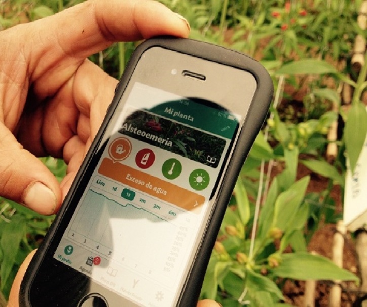 APP avisa a agricultores cuándo regar o fertilizar plantas