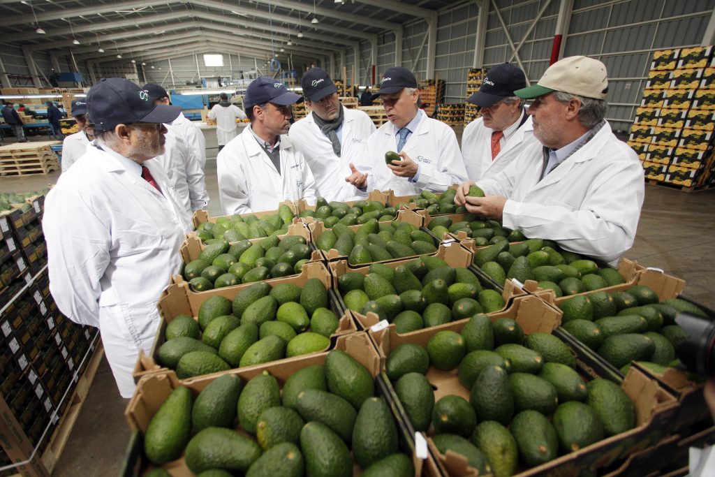 China levanta medidas cuarentenarias por mosca de la fruta