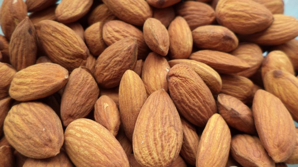 Agricultores de almendra chilenos discuten sobre el sector