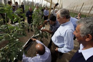 Agricultores implementan sistema que ahorra 50% de agua