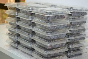 Buscan reducir impacto ambiental de envases plásticos alimentarios