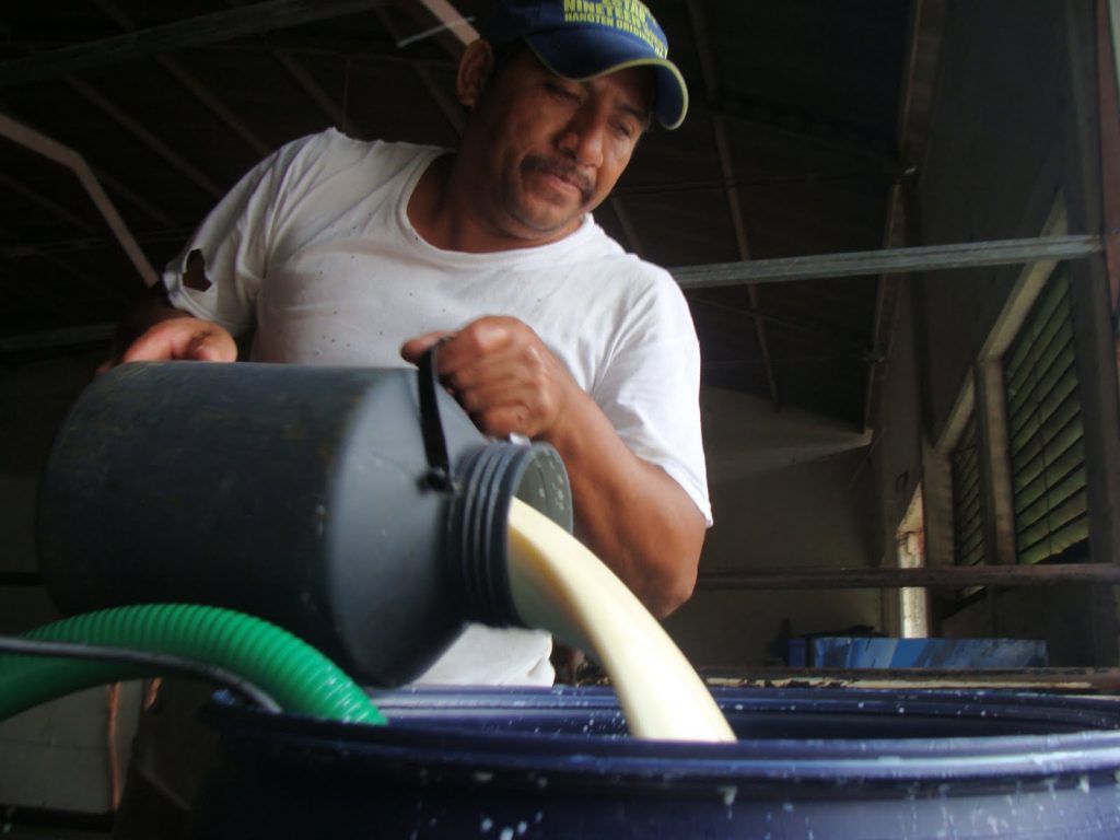 Productores lecheros preocupado por el incierto futuro del sector