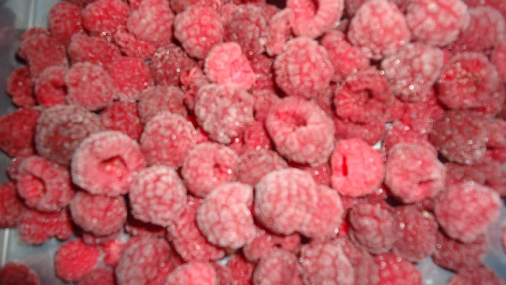 Congelados siguen creciendo y prepara Encuentro Nacional
