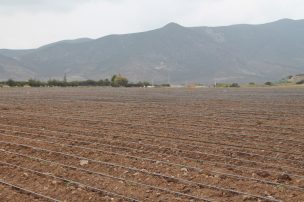Heladas: Seremi de Agricultura entrega recomendaciones para prevenir sus efectos
