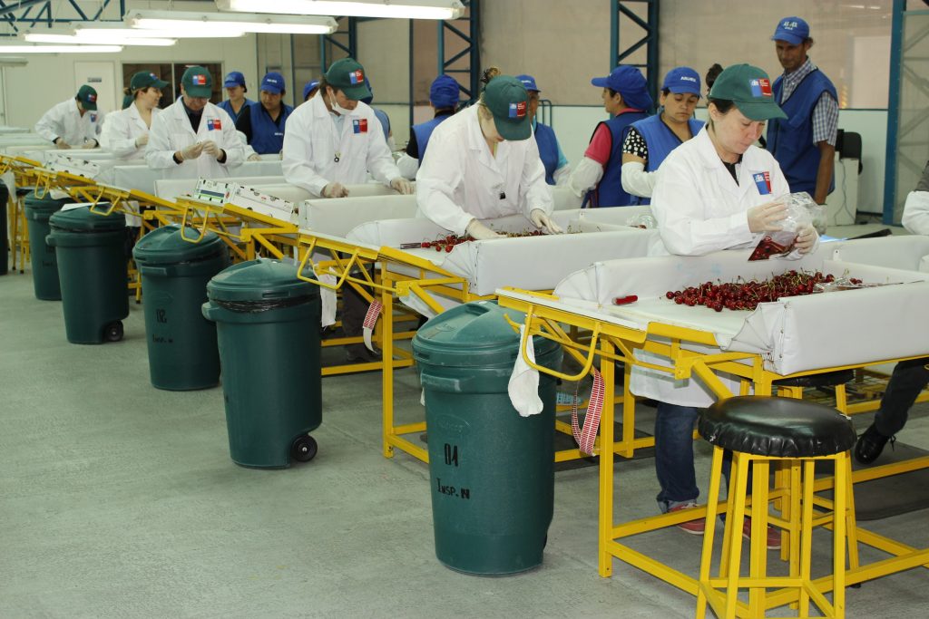Inician construcción de Sitio de Inspección Fitosanitaria en Cabrero