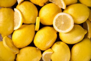Positivo inicio para las exportaciones de limones chilenos
