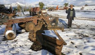 Las heladas: enemigo latente de los agricultores