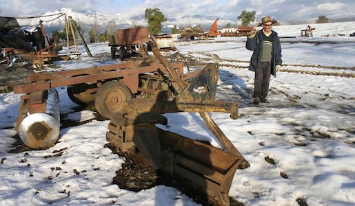 Las heladas: enemigo latente de los agricultores