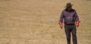 Agricultores de La Araucanía dejan de invertir $55 mil millones al año ante clima de inseguridad