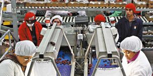 Fruticultura pierde un 15% de productividad con el actual horario de invierno