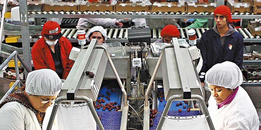 Fruticultura pierde un 15% de productividad con el actual horario de invierno