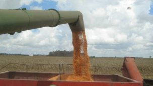 En 15 años, el agro deberá producir un 40% más