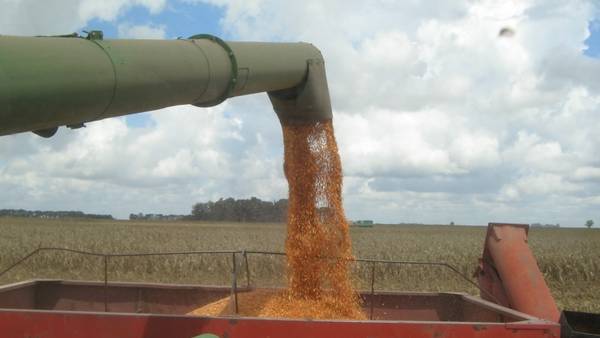En 15 años, el agro deberá producir un 40% más