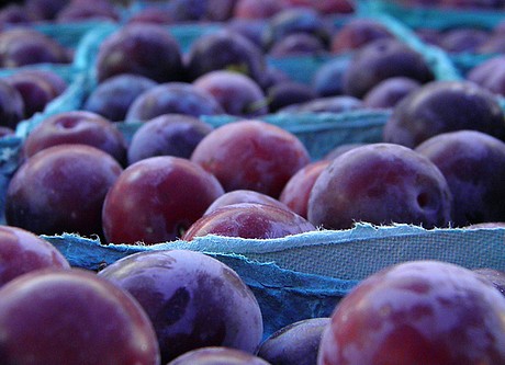 Las ciruelas de Chile crecieron más de un 100% en esta temporada