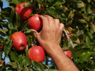 Publican primer libro sobre Derecho Agrícola y su práctica a nivel Global