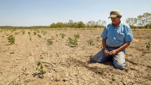 Sequía se toma el 73% de los terrenos agrícolas de alta calidad