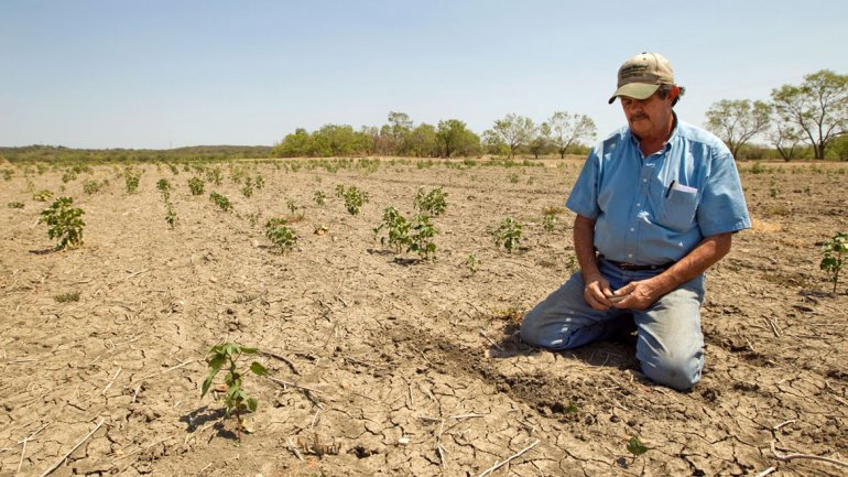 Sequía se toma el 73% de los terrenos agrícolas de alta calidad