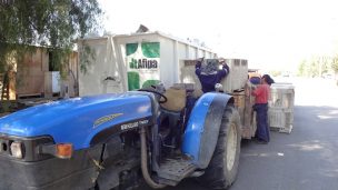 Más de una tonelada de envases vacíos de agroquímicos reciclados en Lampa