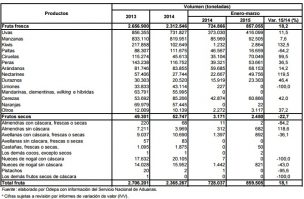 Exportaciones de fruta chilena aumentan 18% respecto a 2014