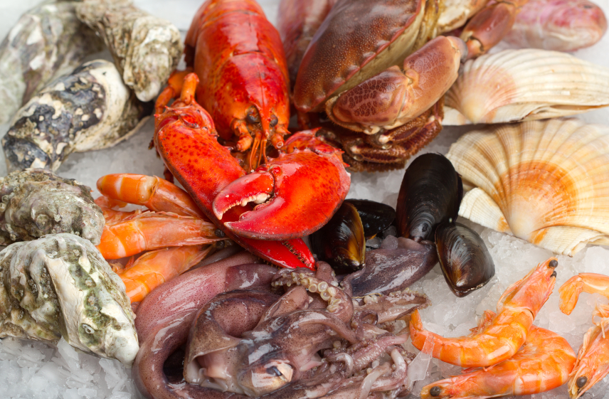 Chile llega a Bruselas a consolidarse como proveedor de clase mundial de productos del mar