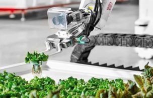 Inteligencia Artificial: más alimentos y menos impacto ambiental