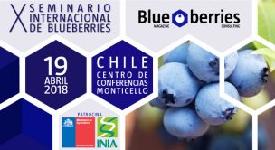 11 de abril: todo listo para el XIV seminario internacional “Blueberries Chile 2019”